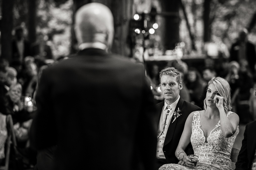Reception toasts by Aspen wedding photojournalist.